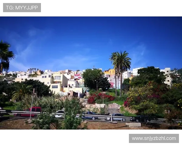 拉斯帕尔马斯俱乐部的历史传承与未来发展探索路径 拉斯帕尔马斯俱乐部的历史传承与未来发展探索路径