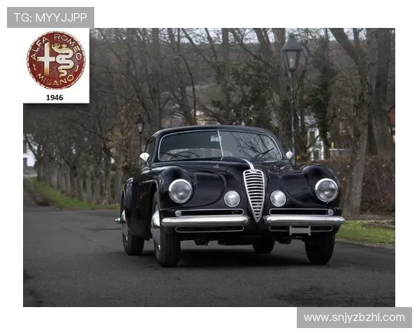 从辉煌到重建探寻里昂俱乐部百年荣耀与未来发展之路