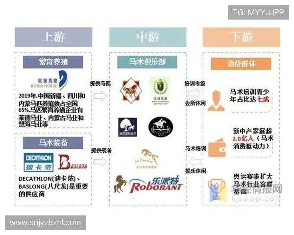 雷丁俱乐部历史回顾与未来发展前景分析